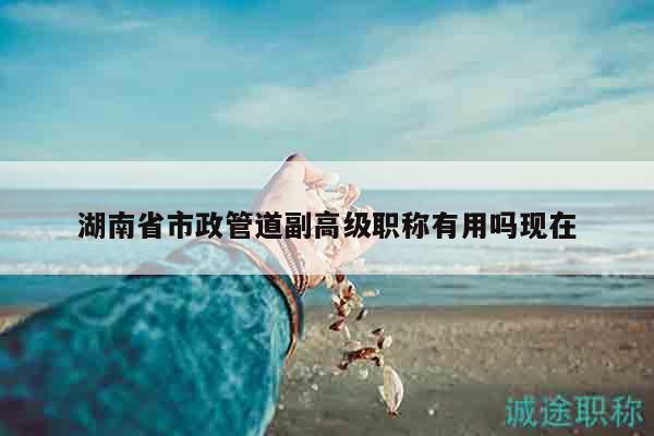 湖南省市政管道副高级职称有用吗现在