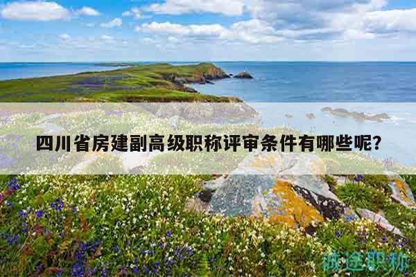 四川省房建副高级职称评审条件有哪些呢？