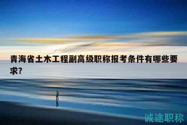 青海省土木工程副高级职称报考条件有哪些要求？