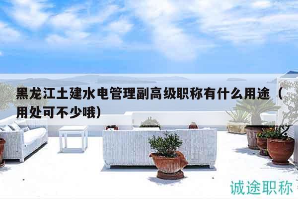 黑龙江土建水电管理副高级职称有什么用途（用处可不少哦）