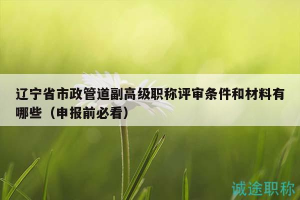 辽宁省市政管道副高级职称评审条件和材料有哪些（申报前必看）