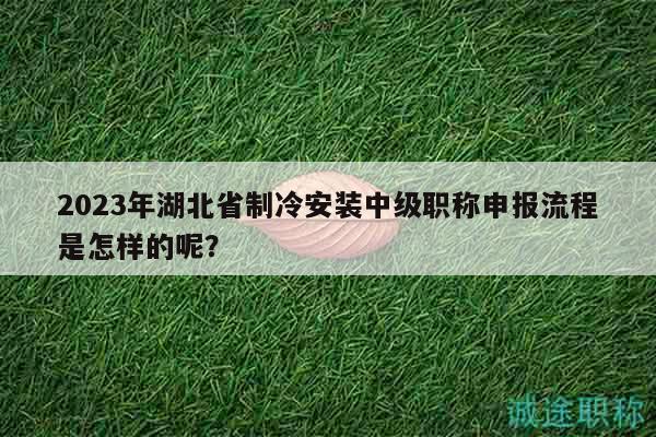 2023年湖北省制冷安装中级职称申报流程是怎样的呢？