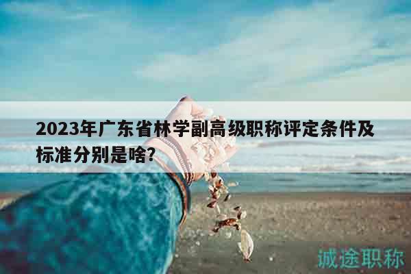 2023年广东省林学副高级职称评定条件及标准分别是啥？