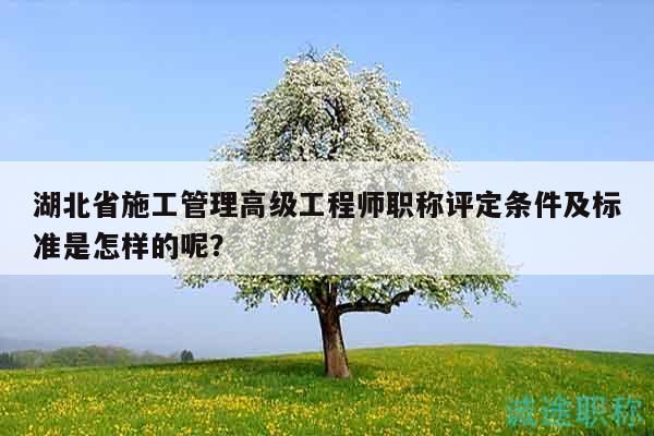 湖北省施工管理高级工程师职称评定条件及标准是怎样的呢？