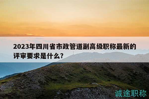 2023年四川省市政管道副高级职称最新的评审要求是什么？