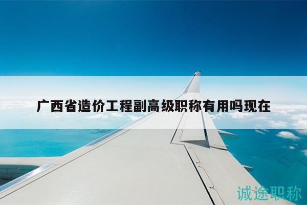 广西省造价工程副高级职称有用吗现在
