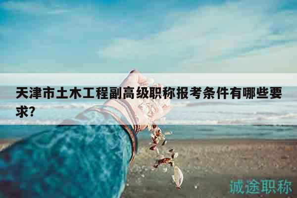 天津市土木工程副高级职称报考条件有哪些要求？
