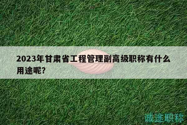 2023年甘肃省工程管理副高级职称有什么用途呢？