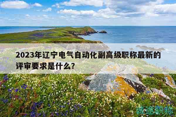 2023年辽宁电气自动化副高级职称最新的评审要求是什么？