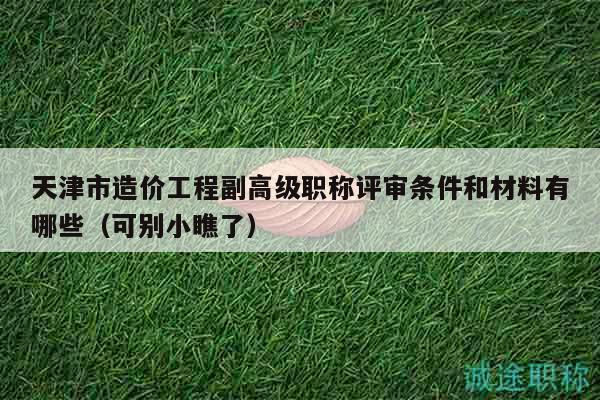天津市造价工程副高级职称评审条件和材料有哪些（可别小瞧了）