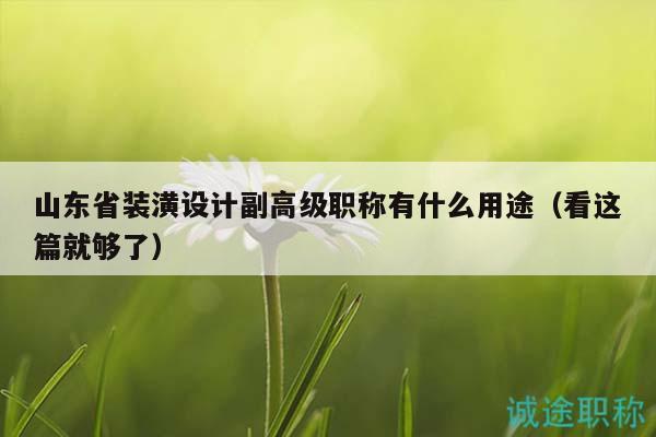 山东省装潢设计副高级职称有什么用途（看这篇就够了）