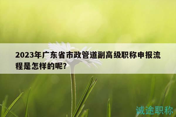2023年广东省市政管道副高级职称申报流程是怎样的呢？