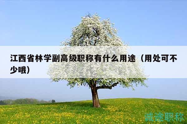 江西省林学副高级职称有什么用途（用处可不少哦）