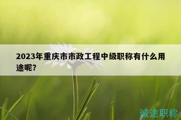 2023年重庆市市政工程中级职称有什么用途呢？
