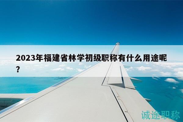 2023年福建省林学初级职称有什么用途呢？