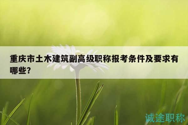重庆市土木建筑副高级职称报考条件及要求有哪些？
