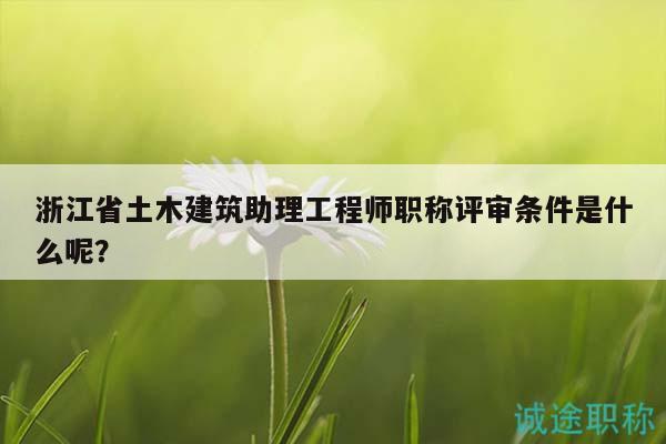 浙江省土木建筑助理工程师职称评审条件是什么呢？