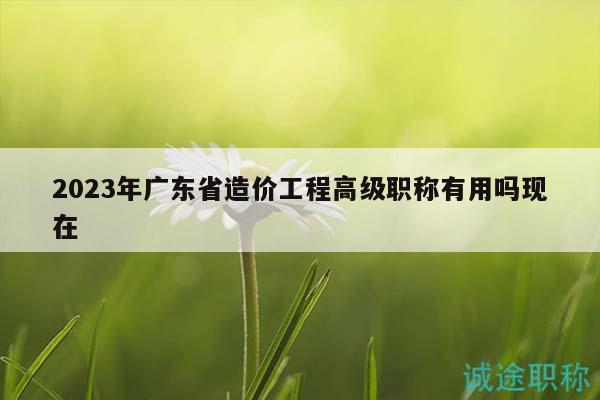 2023年广东省造价工程高级职称有用吗现在