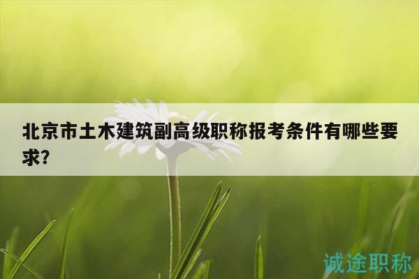 北京市土木建筑副高级职称报考条件有哪些要求？