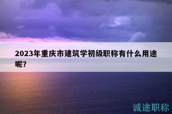 2023年重庆市建筑学初级职称有什么用途呢？