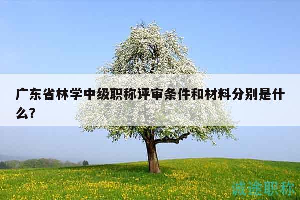 广东省林学中级职称评审条件和材料分别是什么？