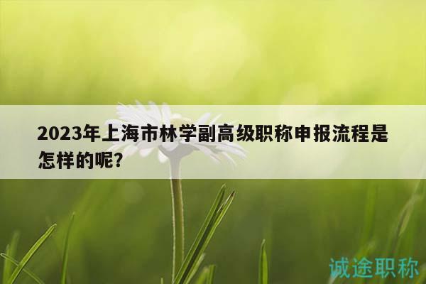 2023年上海市林学副高级职称申报流程是怎样的呢？