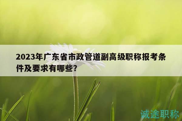 2023年广东省市政管道副高级职称报考条件及要求有哪些？