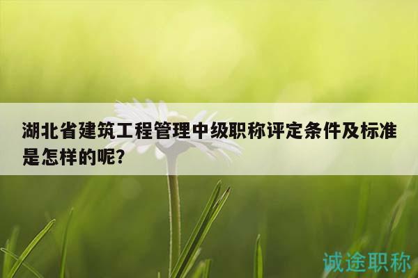 湖北省建筑工程管理中级职称评定条件及标准是怎样的呢？