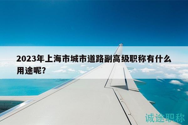 2023年上海市城市道路副高级职称有什么用途呢？