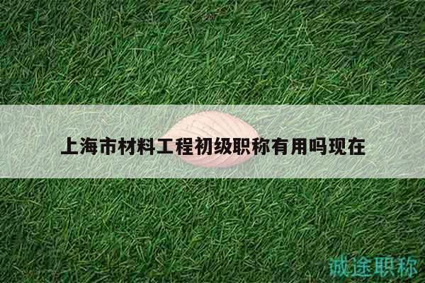 上海市材料工程初级职称有用吗现在