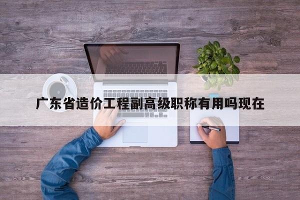 广东省造价工程副高级职称有用吗现在