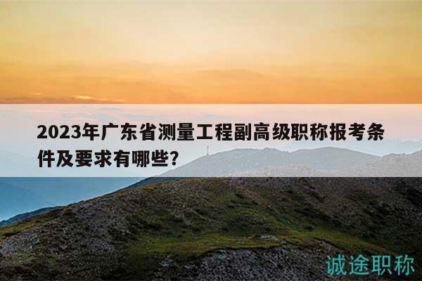 2023年广东省测量工程副高级职称报考条件及要求有哪些？