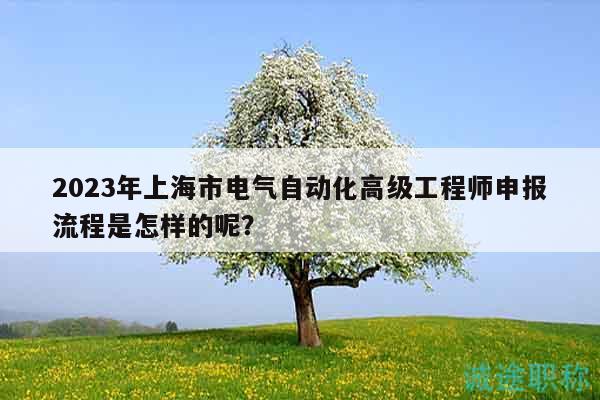 2023年上海市电气自动化高级工程师申报流程是怎样的呢？