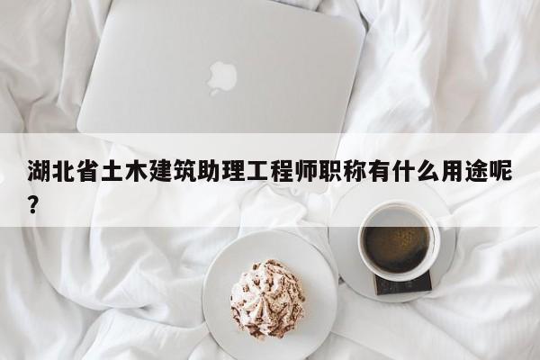 湖北省土木建筑助理工程师职称有什么用途呢？