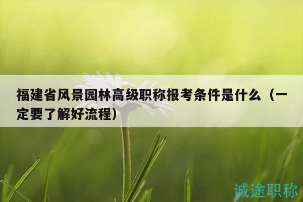 福建省风景园林高级职称报考条件是什么（一定要了解好流程）