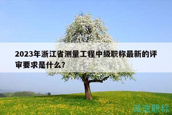2023年浙江省测量工程中级职称最新的评审要求是什么？