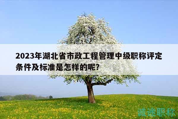 2023年湖北省市政工程管理中级职称评定条件及标准是怎样的呢？