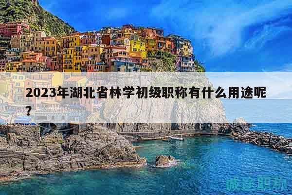 2023年湖北省林学初级职称有什么用途呢？