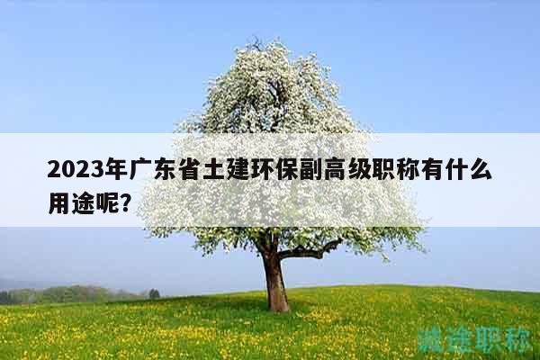 2023年广东省土建环保副高级职称有什么用途呢？
