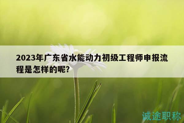 2023年广东省水能动力初级工程师申报流程是怎样的呢？