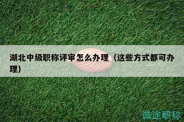 湖北中级职称评审怎么办理（这些方式都可办理）