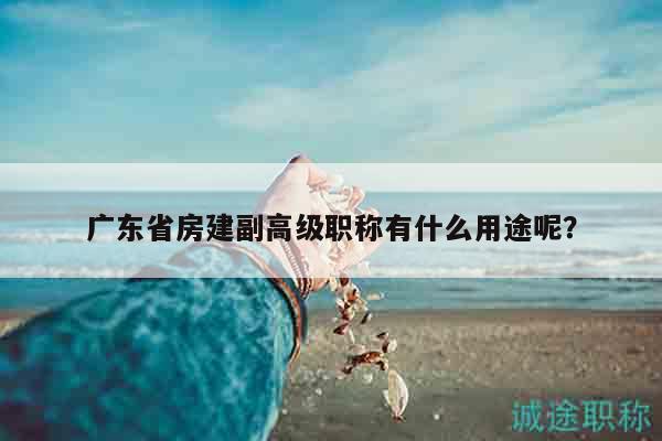 广东省房建副高级职称有什么用途呢？