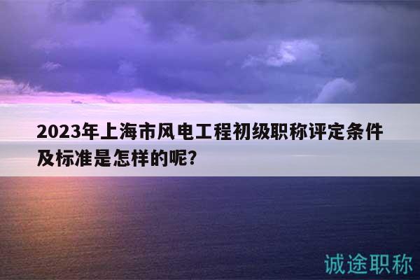 2023年上海市风电工程初级职称评定条件及标准是怎样的呢？