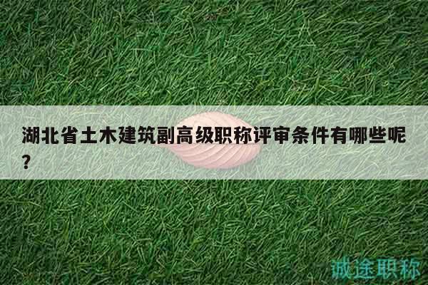 湖北省土木建筑副高级职称评审条件有哪些呢？