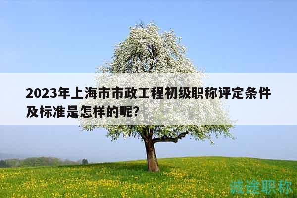 2023年上海市市政工程初级职称评定条件及标准是怎样的呢？