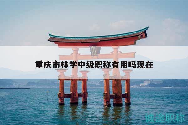 重庆市林学中级职称有用吗现在