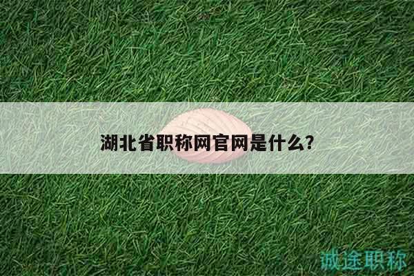 湖北省职称网官网是什么？