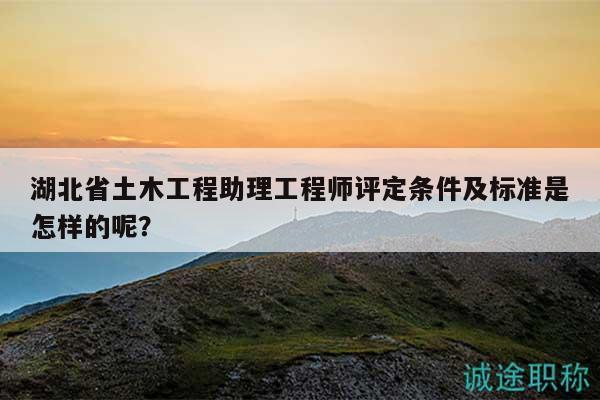 湖北省土木工程助理工程师评定条件及标准是怎样的呢？