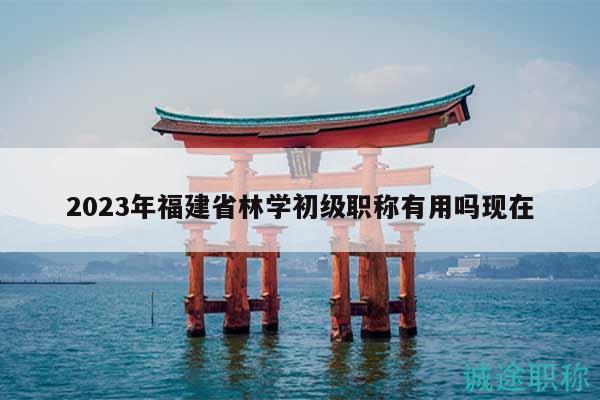 2023年福建省林学初级职称有用吗现在
