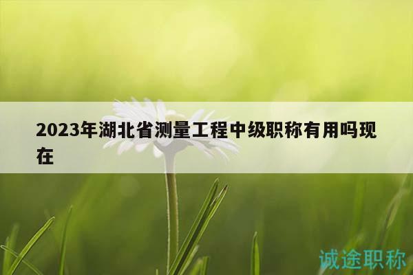 2023年湖北省测量工程中级职称有用吗现在
